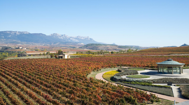 Bodegas Vivanco