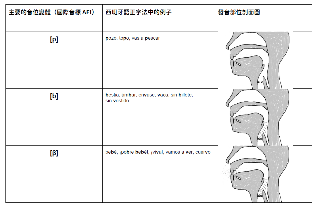 螢幕擷取畫面 2025 09 25 163851